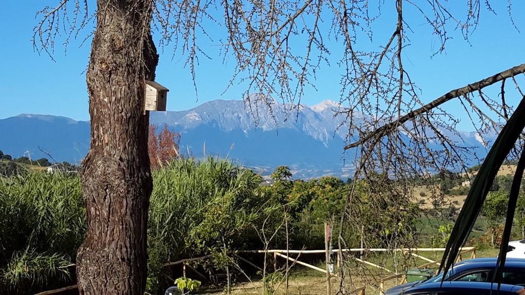 B&B L'Albero Di Antonia อาตริ ภายนอก รูปภาพ