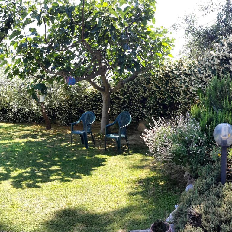 B&B L'Albero Di Antonia อาตริ ภายนอก รูปภาพ